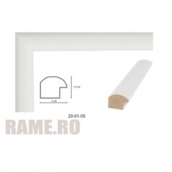 Plastic Frame Art.No: 20-01-05 at RAME.RO