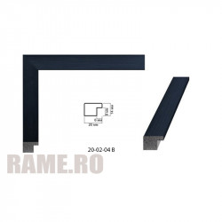 Plastic Frame Art.No: 20-02-04 B at RAME.RO