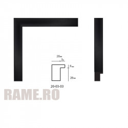 Rama din plastic - Art: 20-03-03 numai la RAME.RO
