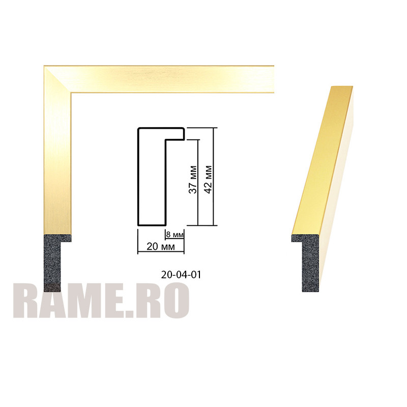 Plastic Frame Art.No: 20-04-01 at RAME.RO