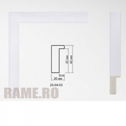 Plastic Frame Art.No: 20-04-03 at RAME.RO