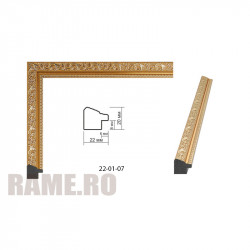 Plastic Frame Art.No: 22-01-07 at RAME.RO