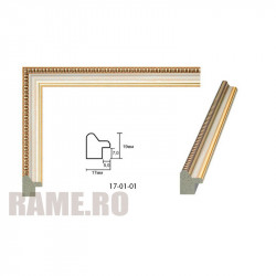 Rama din plastic - Art: AM1719 036S numai la RAME.RO