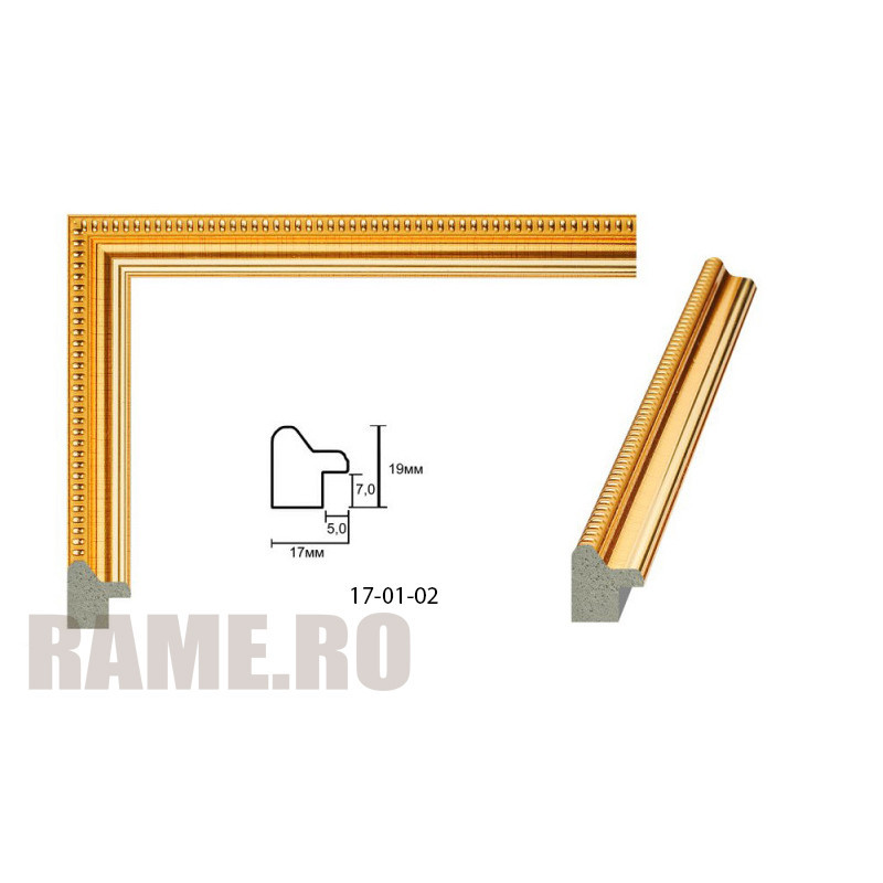 Plastic Frame Art.No: AM1719 2171 at RAME.RO