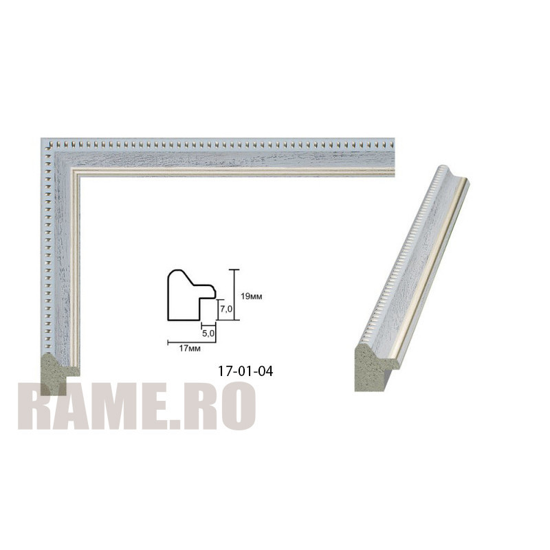 Plastic Frame Art.No: AM1719 5135-7 at RAME.RO