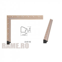 Plastic Frame Art.No: AM2220-x073 at RAME.RO