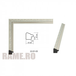 Plastic Frame Art.No: AM2220-x811-67 at RAME.RO