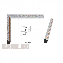 Rama din plastic - Art: AM2220-5019 numai la RAME.RO