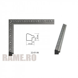 Plastic Frame Art.No: AM2220-2211 at RAME.RO