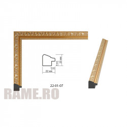 Plastic Frame Art.No: AM2220-2171 at RAME.RO