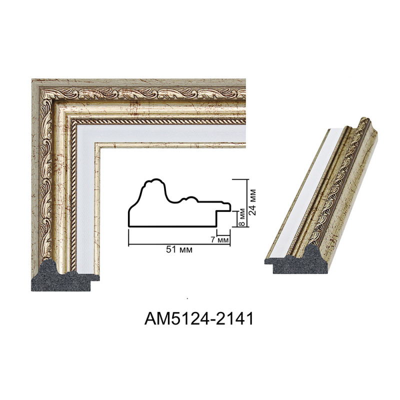 Plastic Frame Art.No: AM5124-2141 at 10,21 RON (TVA not inc.) | RAME.RO