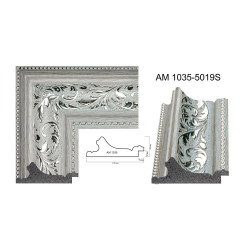 AM1035-5019S Plastic Frame Romania | Rame.ro