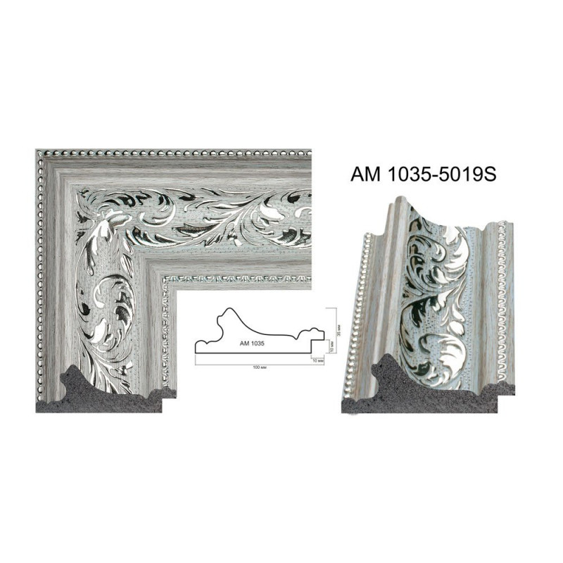 AM1035-5019S Plastic Frame Romania | Rame.ro