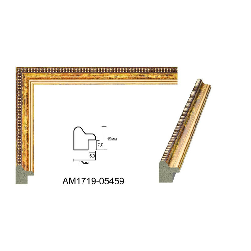 Plastic Frame Art.No: AM-1719-05459 at RAME.RO