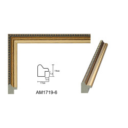 Plastic Frame Art.No: AM-1719-6 at RAME.RO