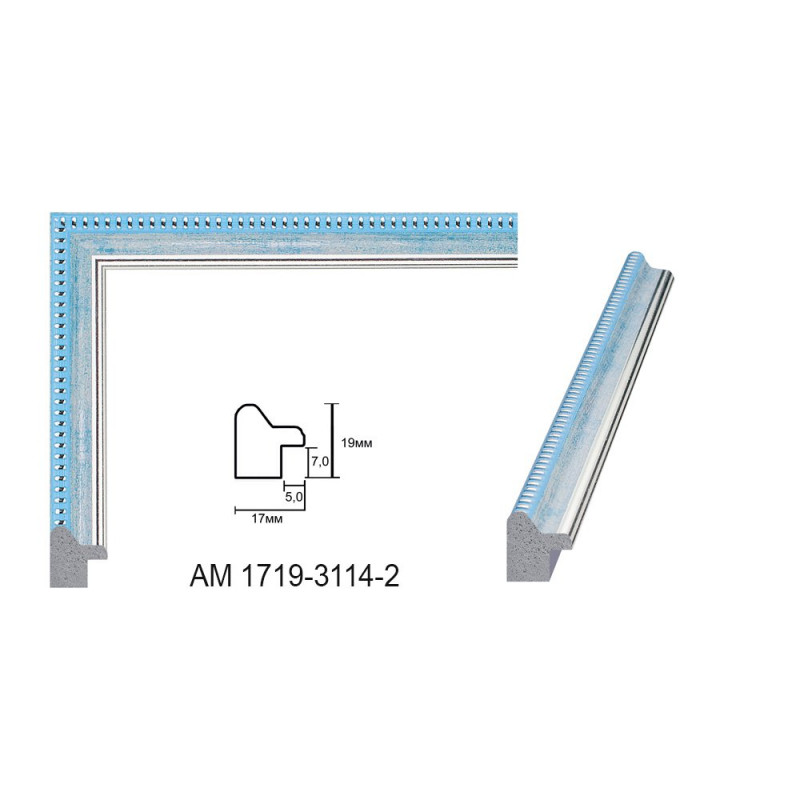 Plastic Frame Art.No: AM-1719-3114-2 at RAME.RO