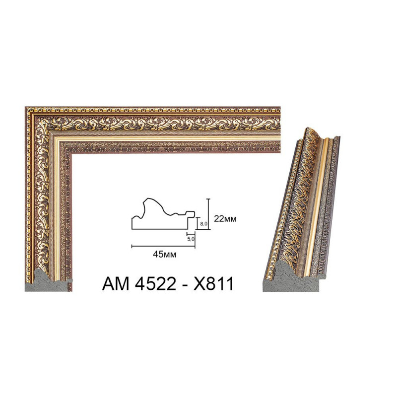 Plastic Frame Art.No: AM4522 X811 at 8,77 RON (TVA not inc.) | RAME.RO