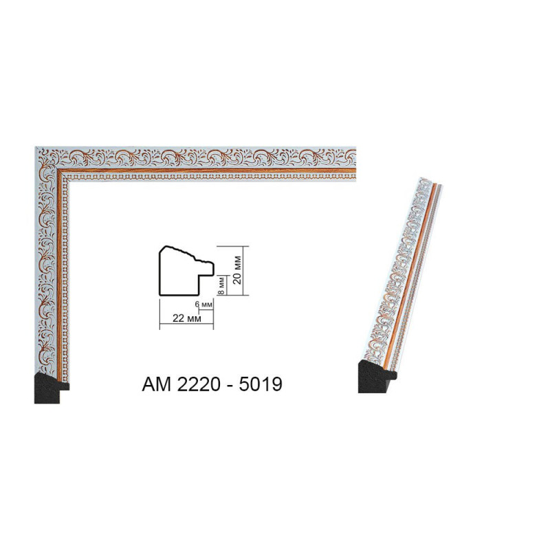 Plastic Frame Art.No: AM-2220B-5019 at RAME.RO