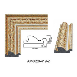 Plastic Frame Art.No: АМ8629-419-2 at 17,78 RON (TVA not inc.) | RAME.RO