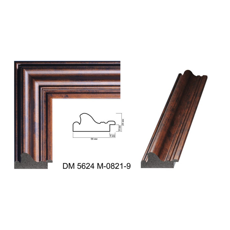 Plastic Frame Art.No: АМ5624M-0821-9 at 10,99 RON (TVA not inc.) | RAME.RO