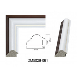 Plastic Frame Art.No: DM5028-081 at 12,08 RON (TVA not inc.) | RAME.RO