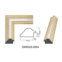 Plastic Frame Art.No: DM5028-0584 at 12,08 RON (TVA not inc.) | RAME.RO