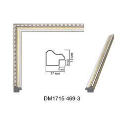 Rama din plastic - Art: DM 1715-469-3 numai la RAME.RO
